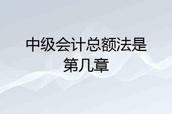 中级会计总额法是第几章