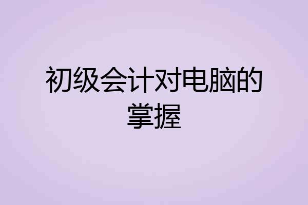 初级会计对电脑的掌握