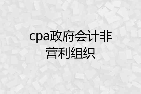 cpa政府会计非营利组织