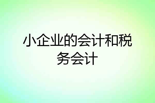 小企业的会计和税务会计
