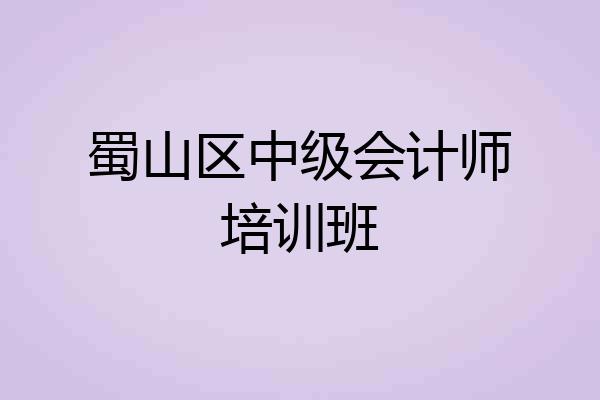 蜀山区中级会计师培训班