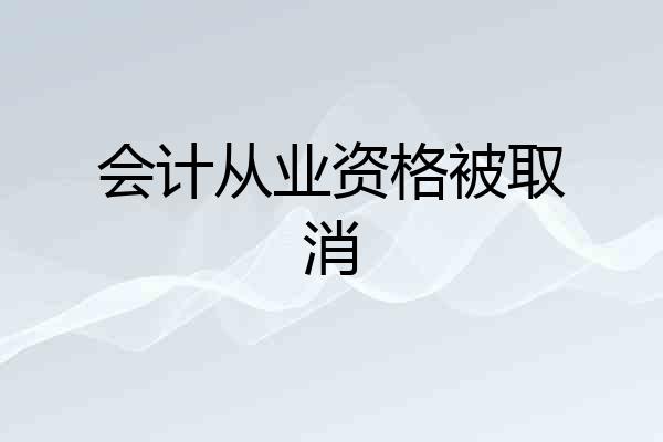 会计从业资格被取消