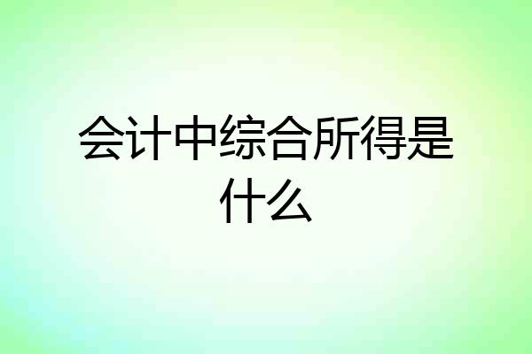 会计中综合所得是什么