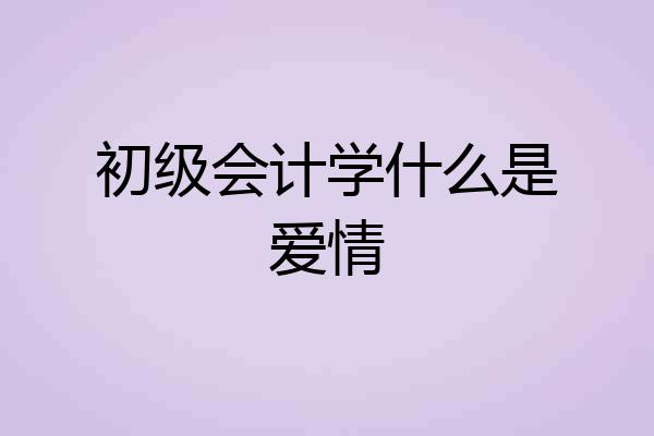 初级会计学什么是爱情