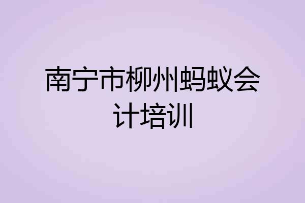 南宁市柳州蚂蚁会计培训