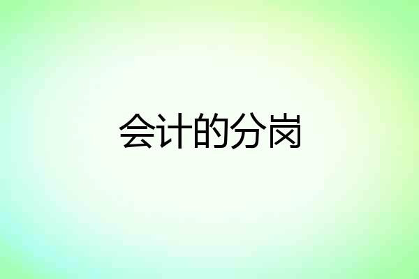 会计的分岗