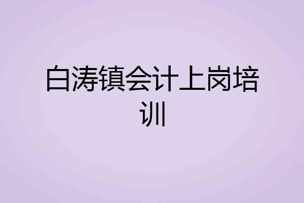 白涛镇会计上岗培训