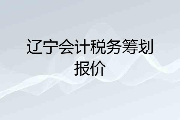 辽宁会计税务筹划报价