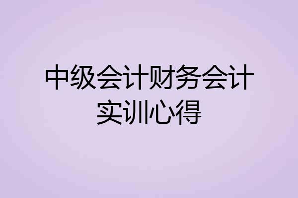 中级会计财务会计实训心得