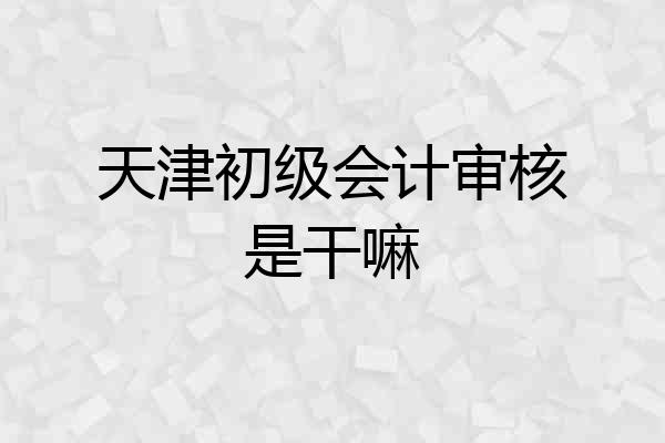 天津初级会计审核是干嘛