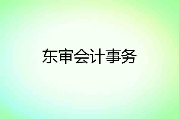 东审会计事务