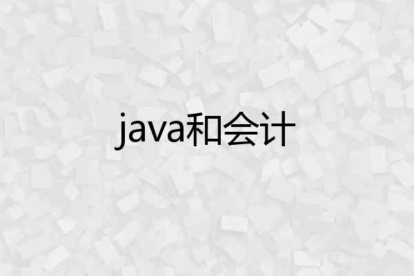 java和会计