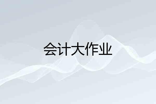 会计大作业
