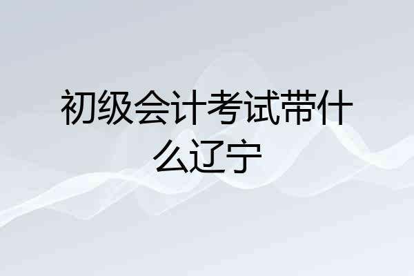 初级会计考试带什么辽宁