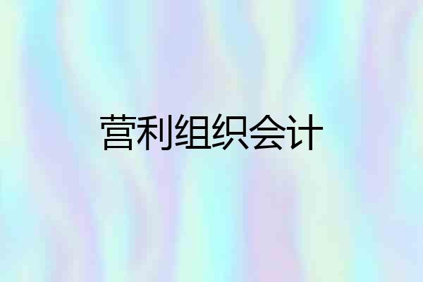 营利组织会计