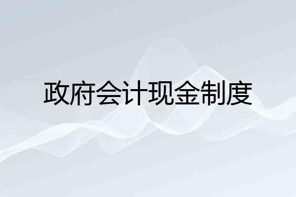 政府会计现金制度
