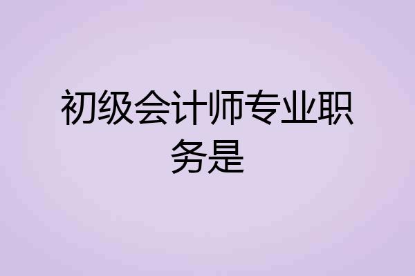 初级会计师专业职务是