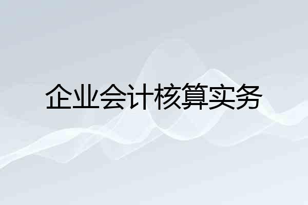企业会计核算实务