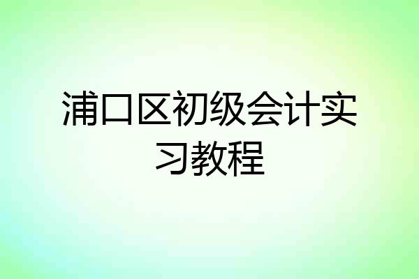 浦口区初级会计实习教程