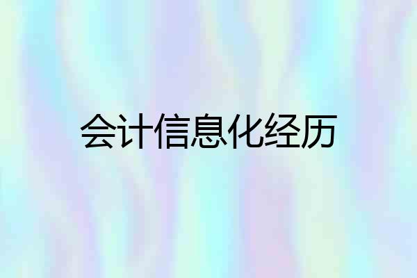 会计信息化经历