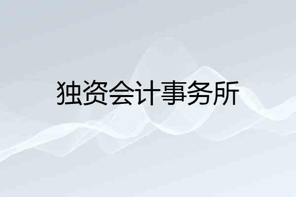 独资会计事务所