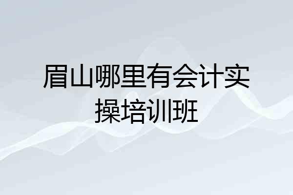 眉山哪里有会计实操培训班
