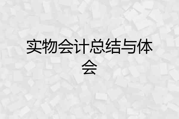 实物会计总结与体会