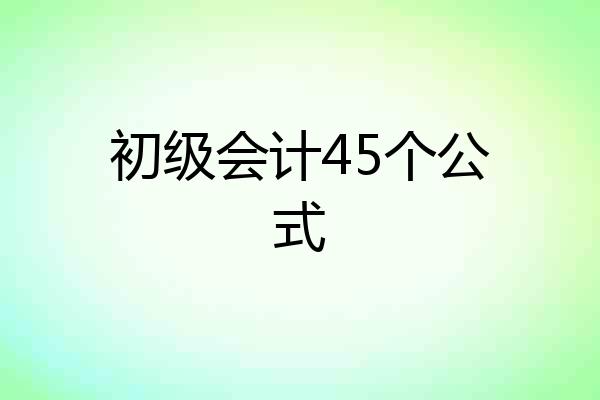 初级会计45个公式