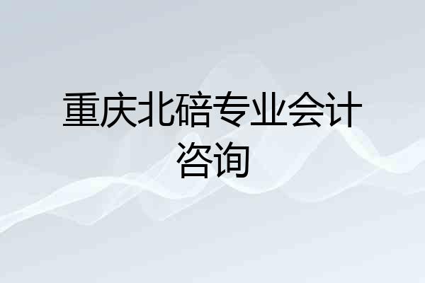 重庆北碚专业会计咨询
