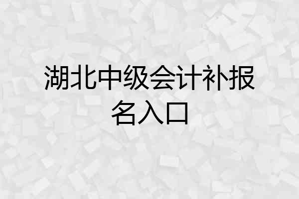 湖北中级会计补报名入口