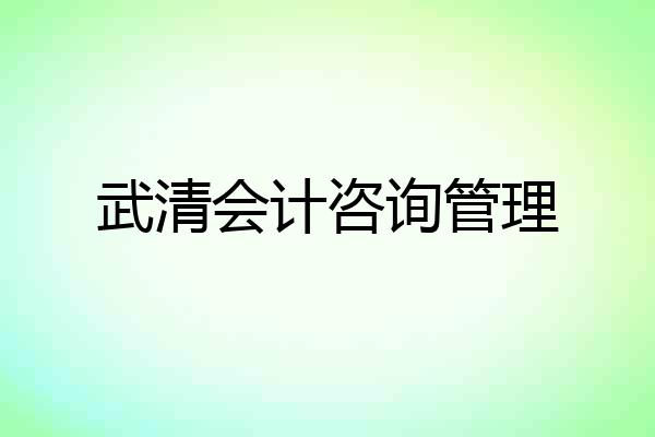 武清会计咨询管理