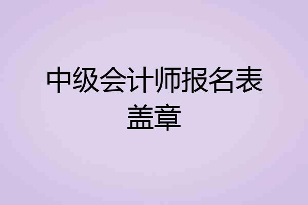 中级会计师报名表盖章