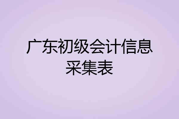 广东初级会计信息采集表