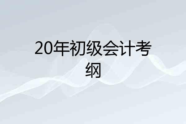 20年初级会计考纲