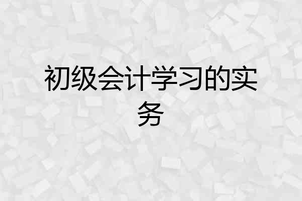 初级会计学习的实务