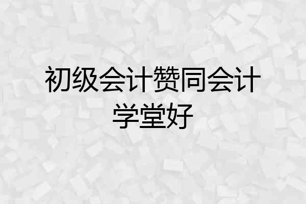 初级会计赞同会计学堂好