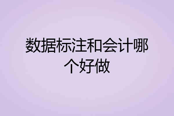 数据标注和会计哪个好做