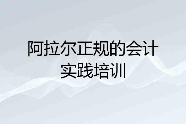 阿拉尔正规的会计实践培训