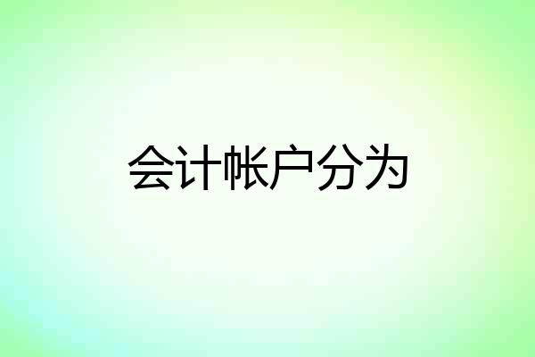 会计帐户分为