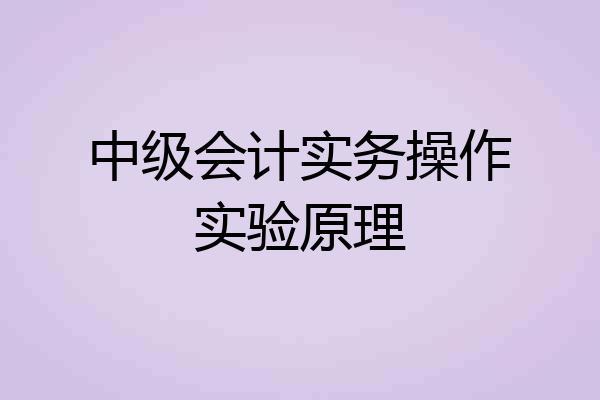 中级会计实务操作实验原理