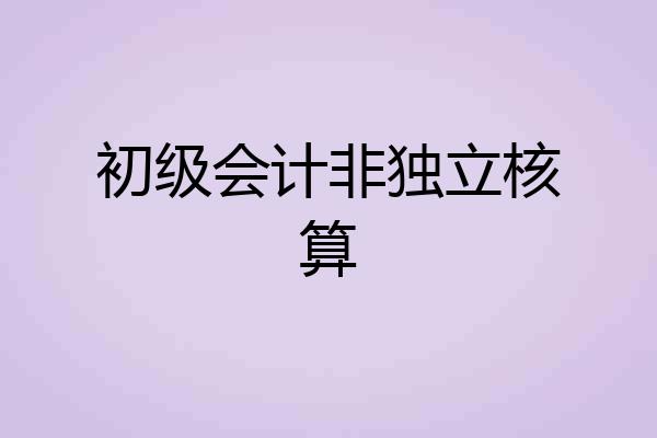 初级会计非独立核算