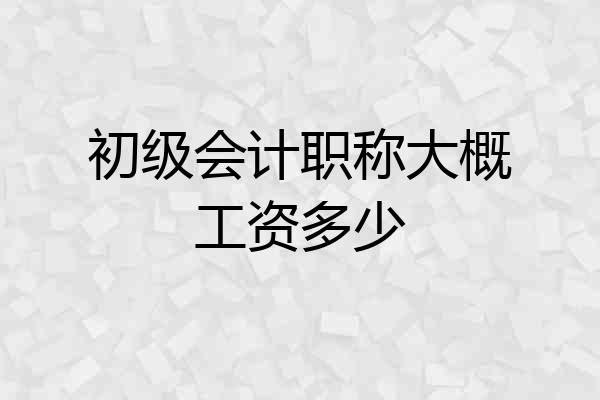 初级会计职称大概工资多少