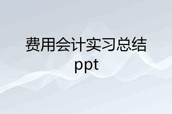 费用会计实习总结ppt
