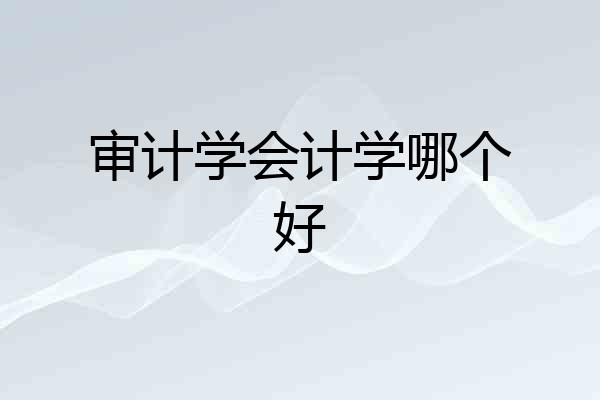 审计学会计学哪个好