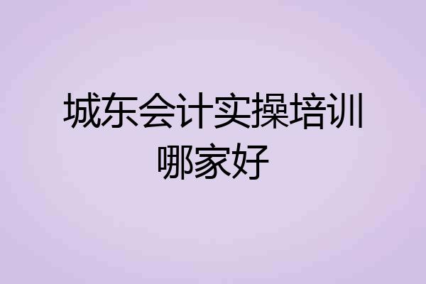城东会计实操培训哪家好