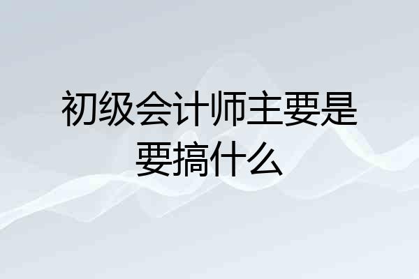 初级会计师主要是要搞什么