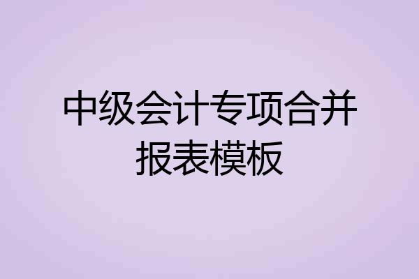 中级会计专项合并报表模板