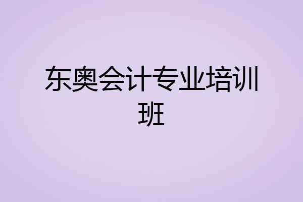 东奥会计专业培训班