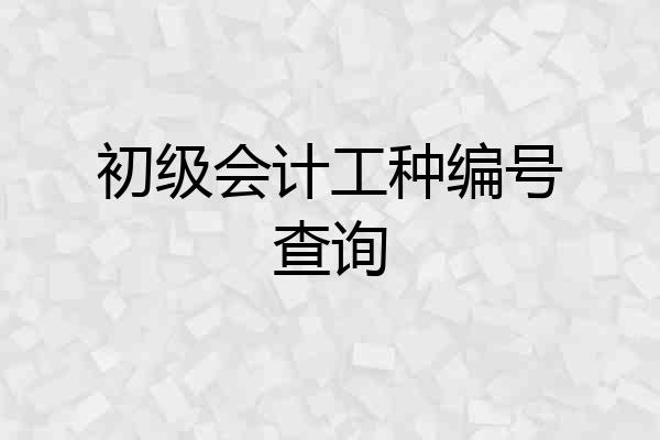 初级会计工种编号查询