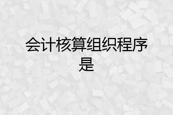 会计核算组织程序是